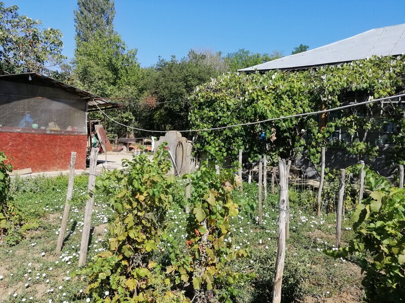 Puieni, judetul Giurgiu