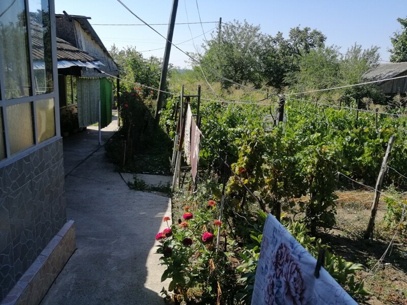 Puieni, judetul Giurgiu