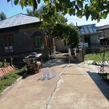 Puieni, judetul Giurgiu
