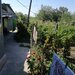 Puieni, judetul Giurgiu